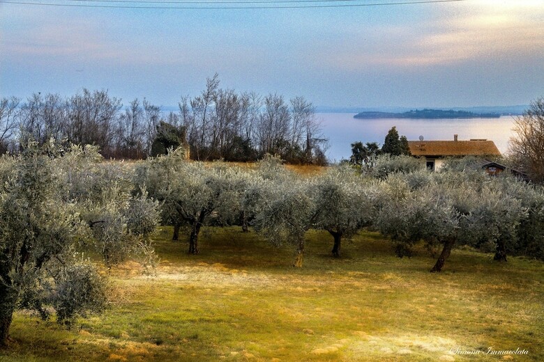 Bed & Breakfast La Gemma Sul Lago