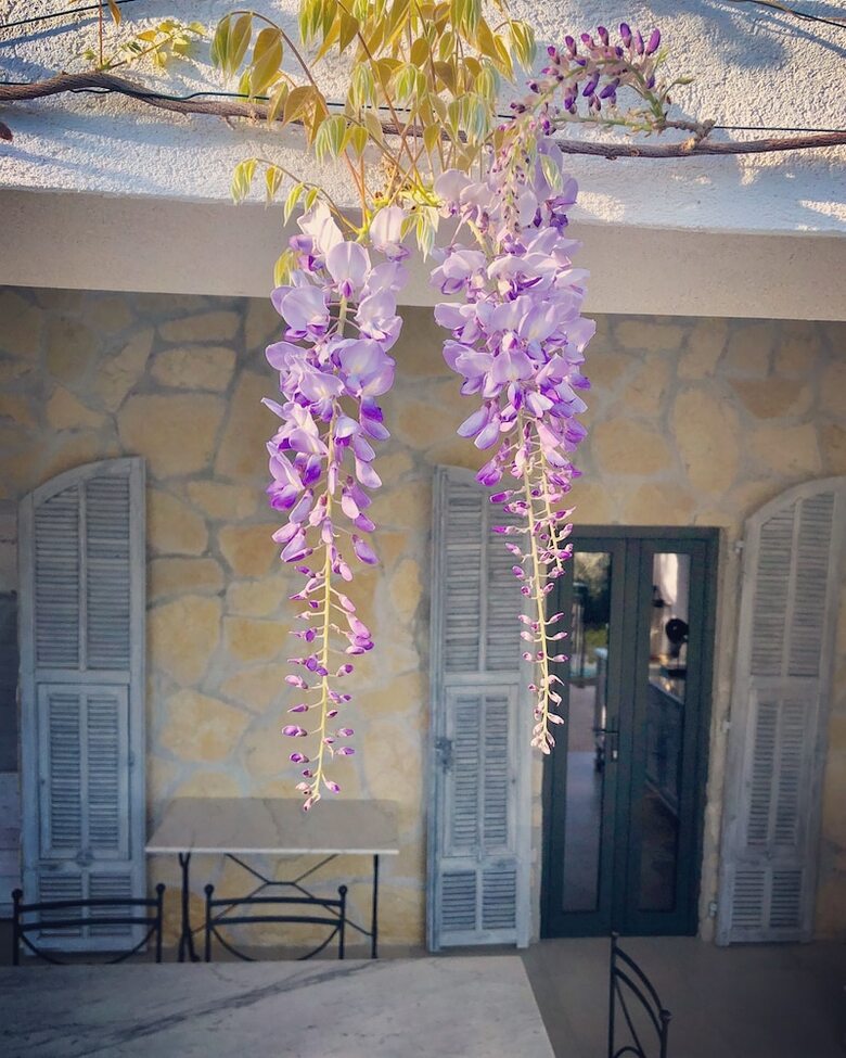 Bed & Breakfast Mas Saint Antoine - Maison D'hotes