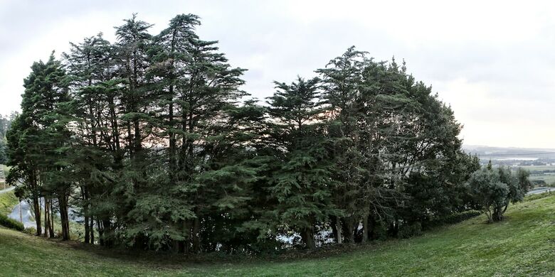 Agroturismo Pazo Da Riva - Casa Del Guardes