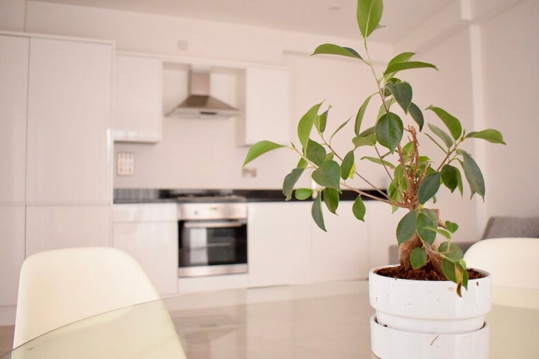 Bright 1 Bedroom Apartment In South London