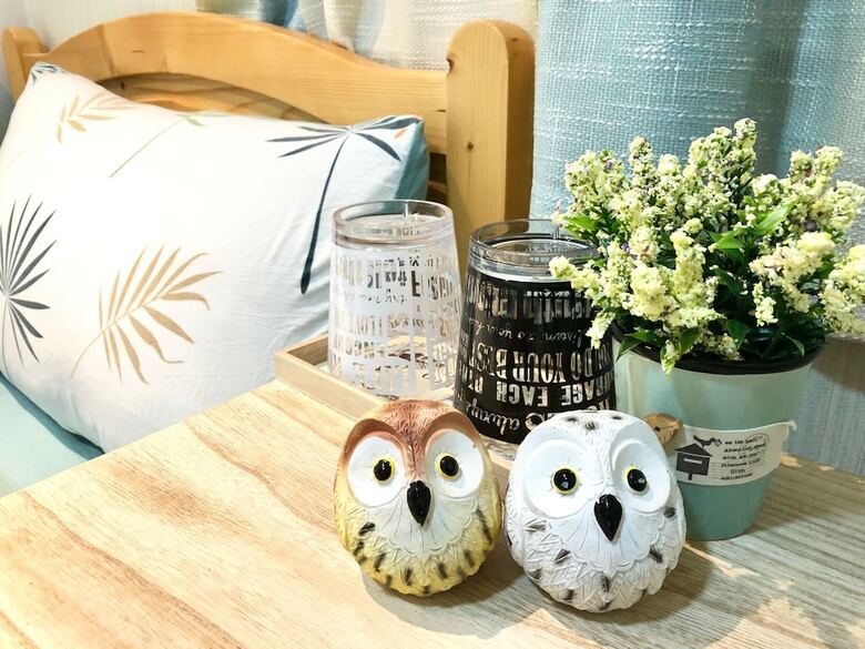 Hostal Owl Hostel