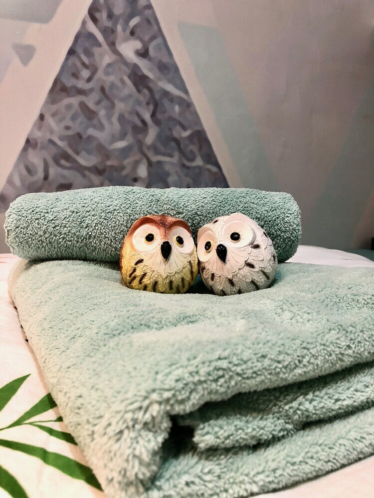 Hostal Owl Hostel