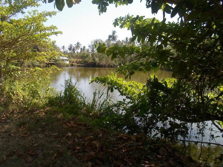 Hotel Amada Lake View Homestay