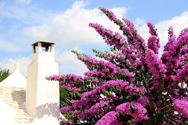 Trullo Madia With Shared Jacuzzi For A Memorable Stay In Nature And Relax