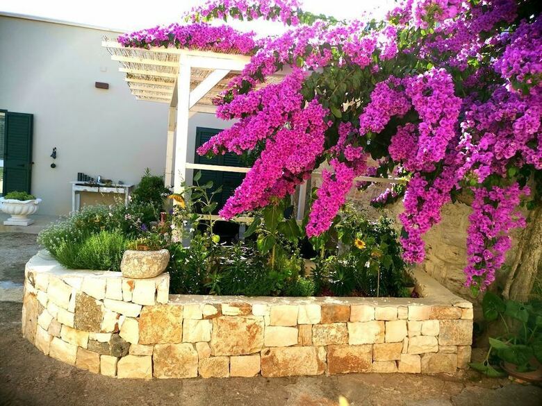 Trullo Madia With Shared Jacuzzi For A Memorable Stay In Nature And Relax
