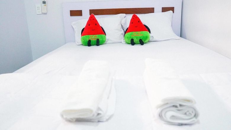 Hotel Hoan Hi Journeys Homestay