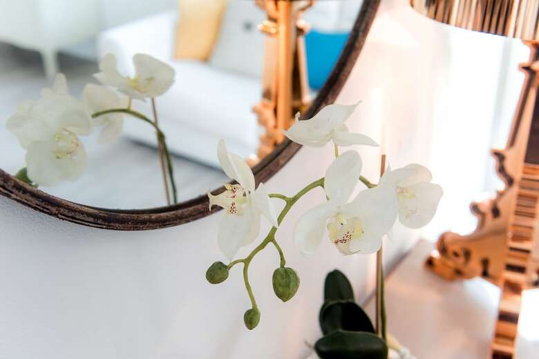 Apartamento Magic Garden Pool