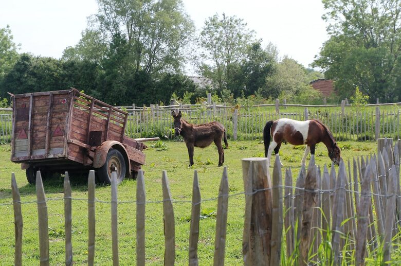 Bed & Breakfast Ferme Hay Day