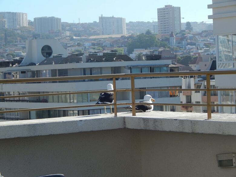 Apartamentos 506 Departamento Vs Centro Vi�a