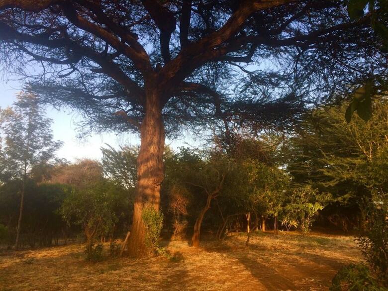 Posada Amboseli Eco Camp