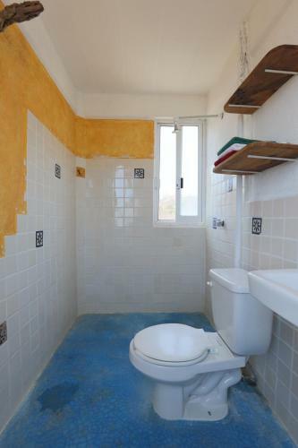 Apartamentos Casa Macondo