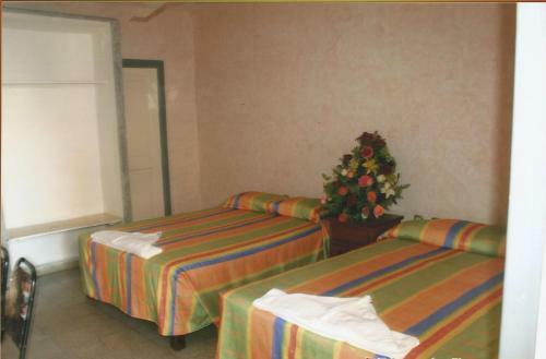 Hotel Soraya De Puerto Angel