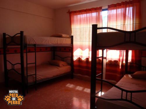 Albergue Hostal Pata De Perro
