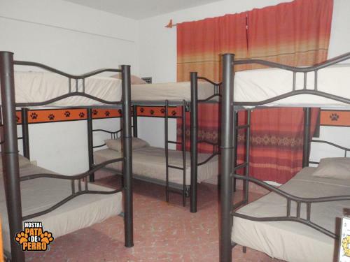 Albergue Hostal Pata De Perro
