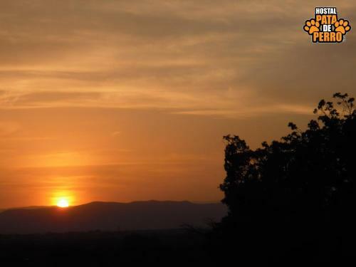 Albergue Hostal Pata De Perro