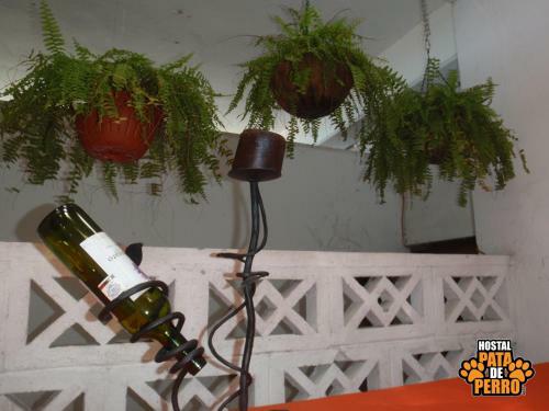 Albergue Hostal Pata De Perro