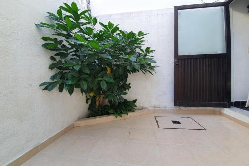 Hotel Posada Jois
