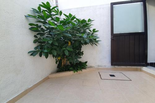 Hotel Posada Jois
