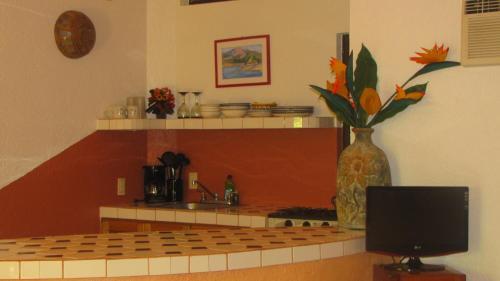 Hotel La Paloma Oceanfront Retreat