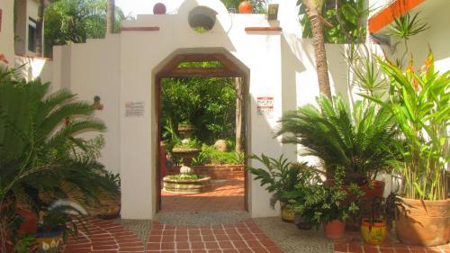 Hotel La Paloma Oceanfront Retreat