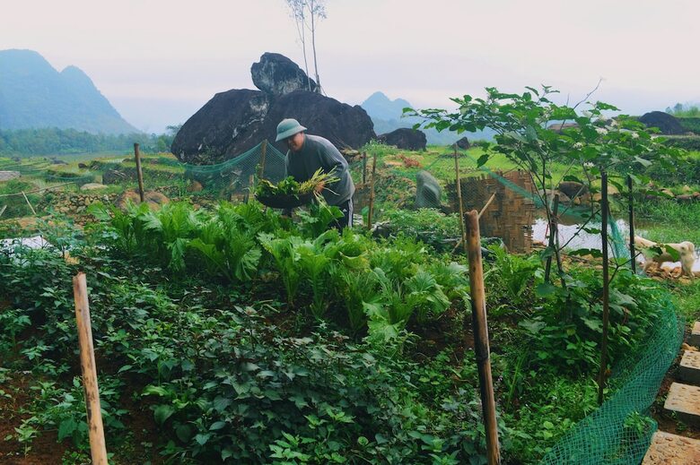 Hostal Pu Luong Hillside Lodge - Hostel