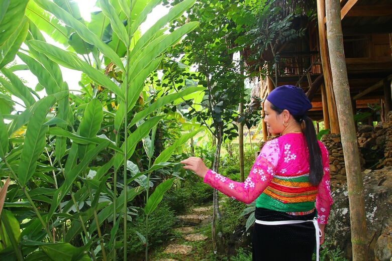 Hostal Pu Luong Hillside Lodge - Hostel