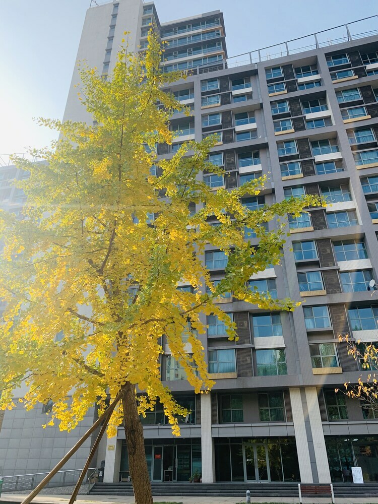 Apartamentos Fosen Suites At Seasons Park