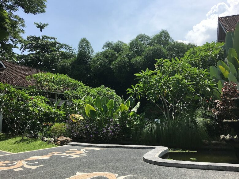 Bed & Breakfast White Orchid Eco Resort