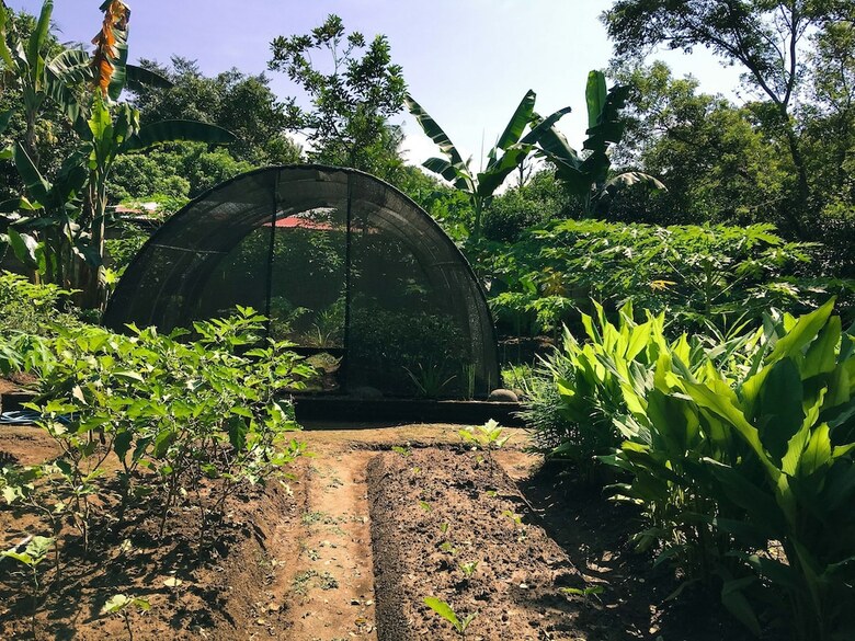 Bed & Breakfast White Orchid Eco Resort