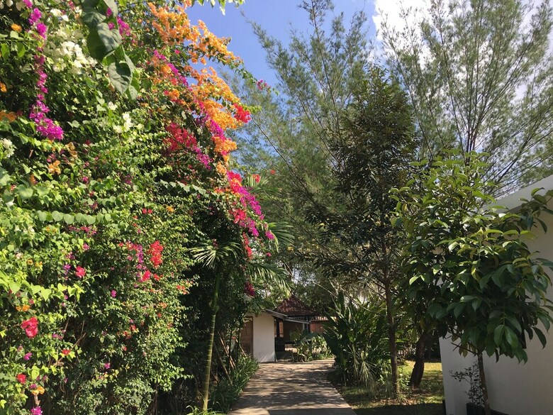 Bed & Breakfast White Orchid Eco Resort