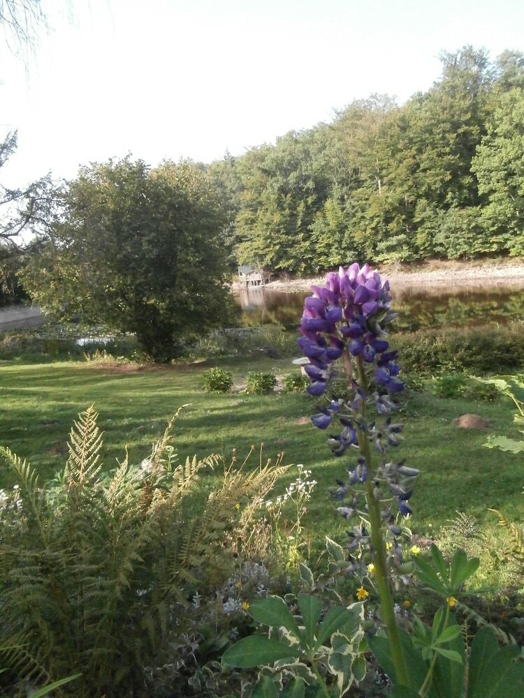 Les G�tes Insolites de L'etang D'anty