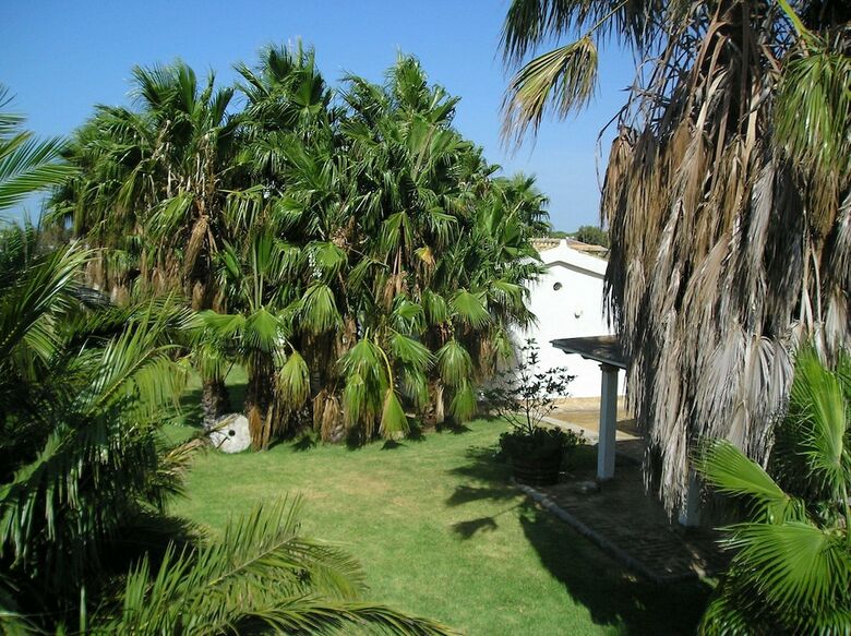 El Olivar de Roche Viejo