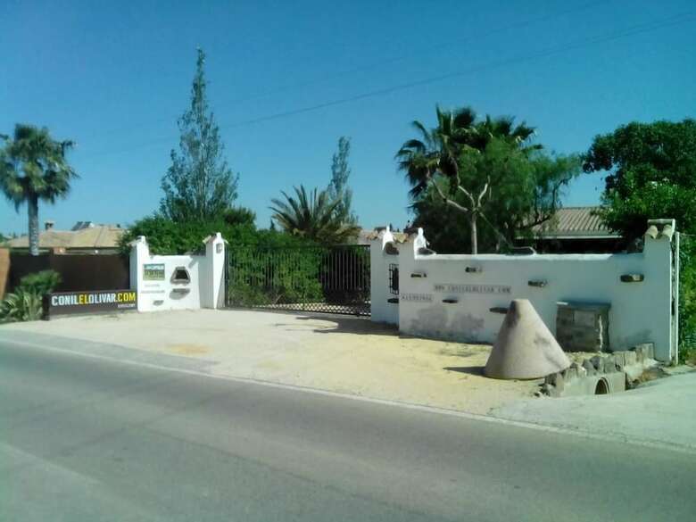 El Olivar de Roche Viejo