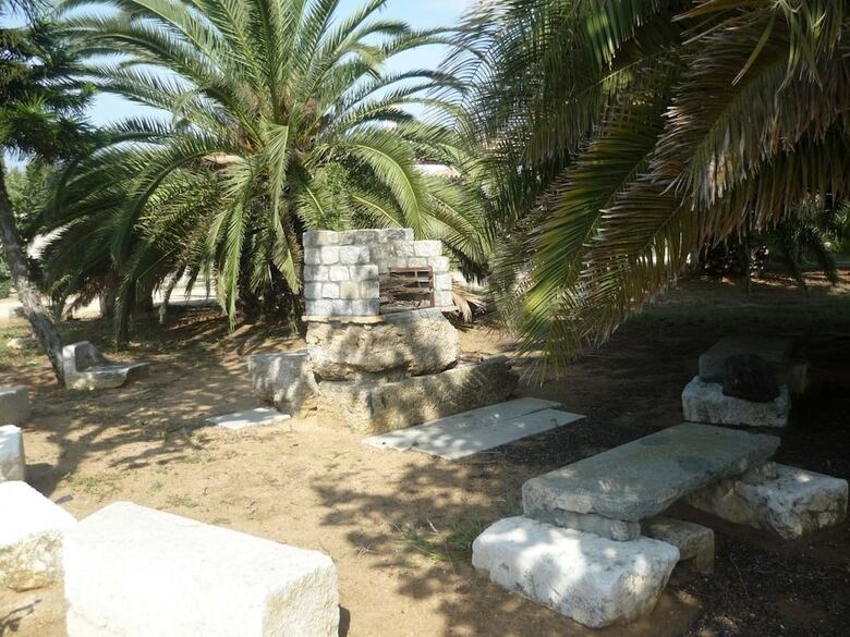 El Olivar de Roche Viejo