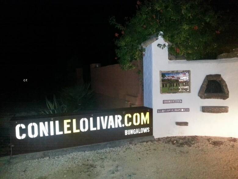 El Olivar de Roche Viejo
