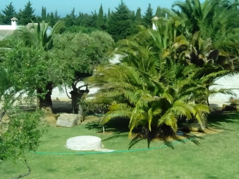 El Olivar de Roche Viejo