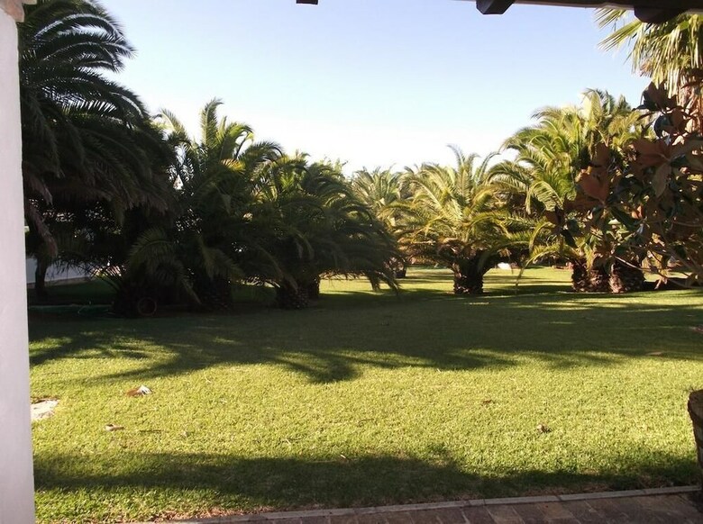 El Olivar de Roche Viejo