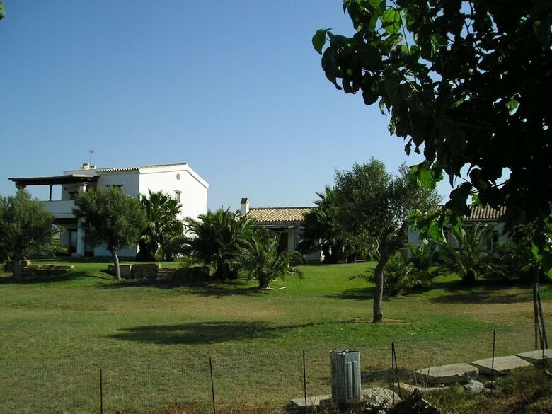 El Olivar de Roche Viejo