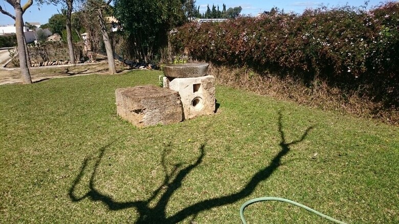 El Olivar de Roche Viejo