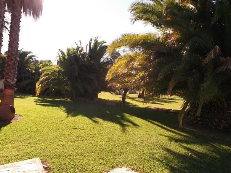 El Olivar de Roche Viejo