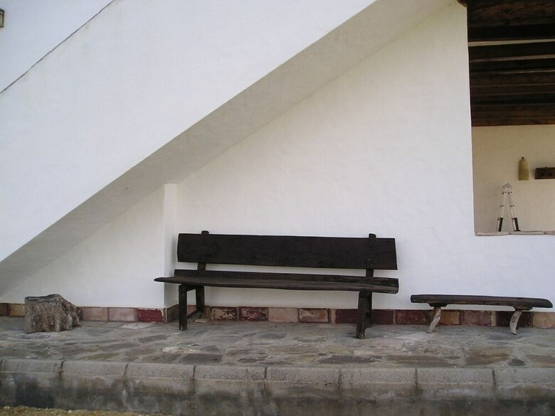 El Olivar de Roche Viejo