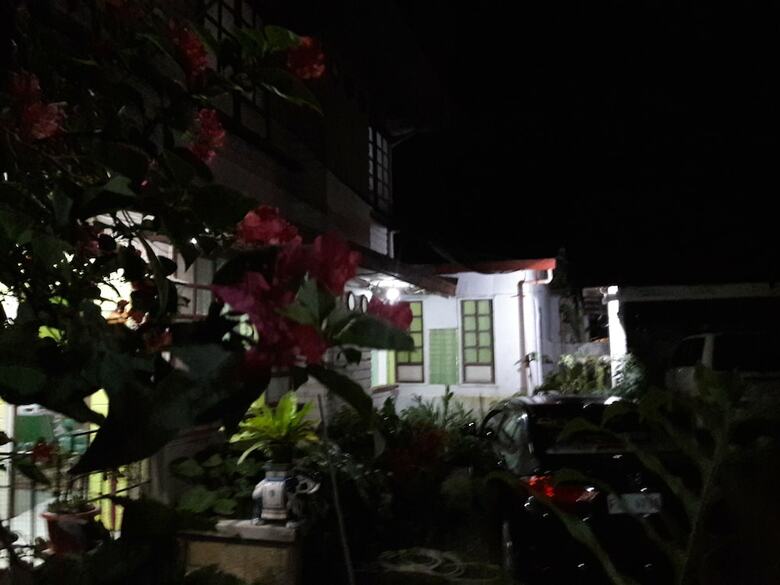 Hotel Green Bamboo