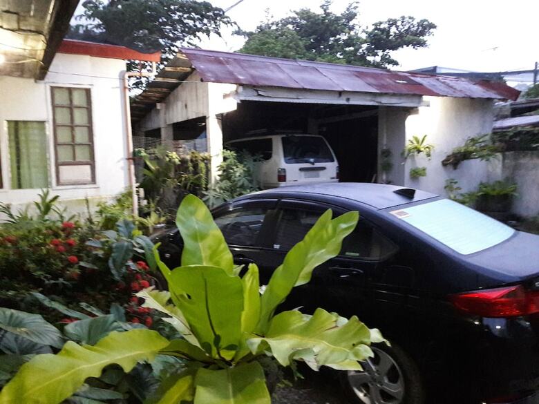 Hotel Green Bamboo