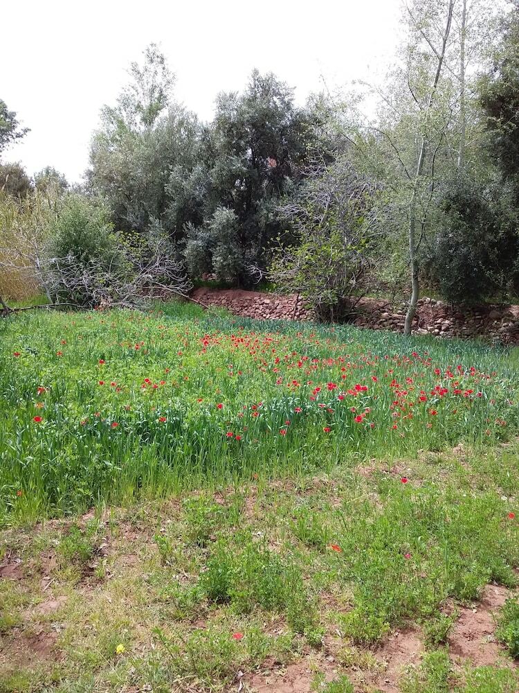 Hotel Auberge Amazir