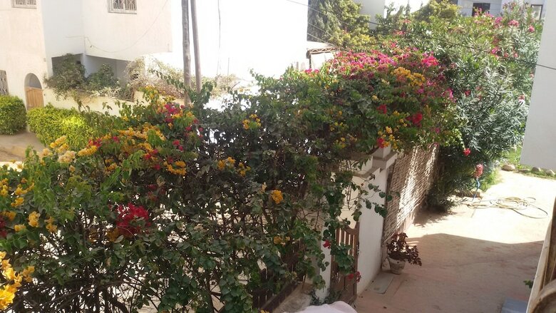 Bed & Breakfast La Ruche Du Monde