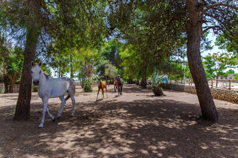 Apartamento Tenuta Don Carmelo