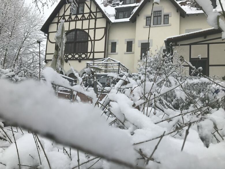 Hotel Springmanns Parkschl�sschen Lichtenstein