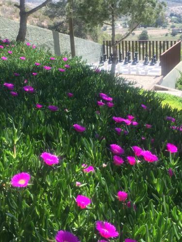 Bed & Breakfast Finca El Otero