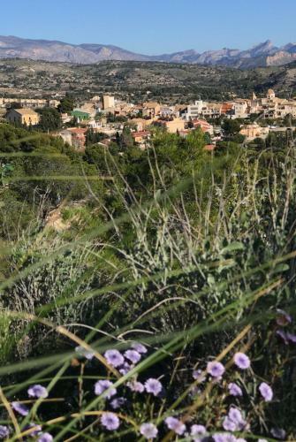 Bed & Breakfast Finca El Otero