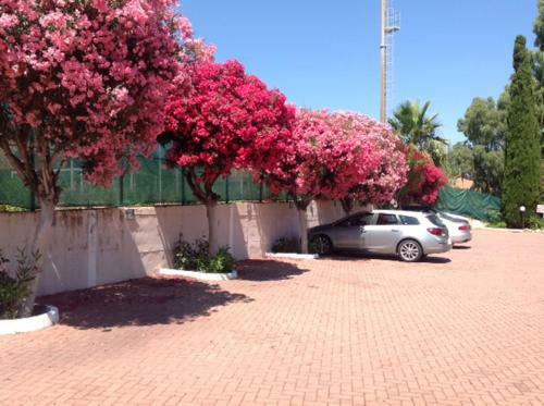 Apartamentos Villa Paola Loano